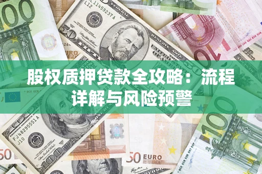 武汉股权质押贷款全攻略：流程详解与风险预警