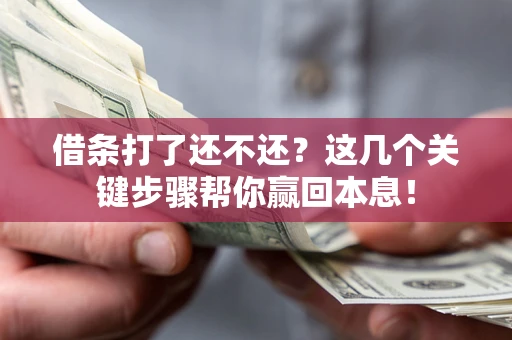 武汉借条打了还不还？这几个关键步骤帮你赢回本息！