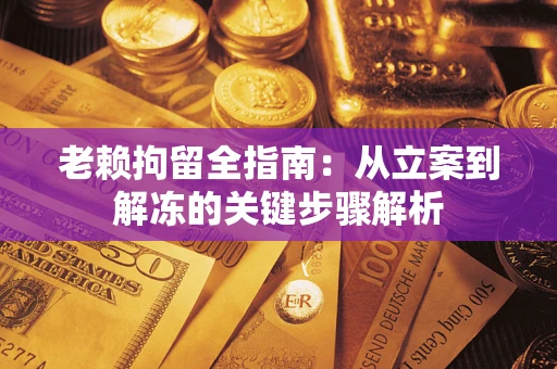武汉老赖拘留全指南：从立案到解冻的关键步骤解析