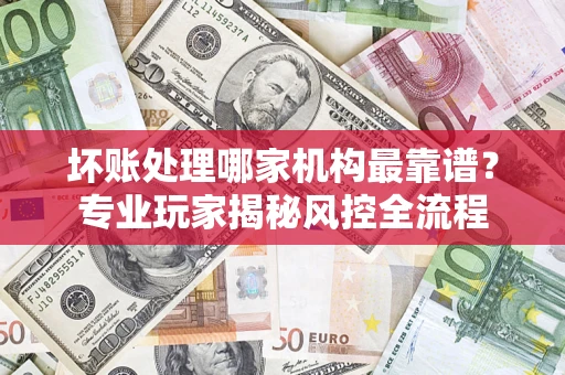 武汉坏账处理哪家机构最靠谱？专业玩家揭秘风控全流程