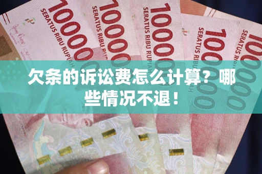 武汉欠条的诉讼费怎么计算？哪些情况不退！