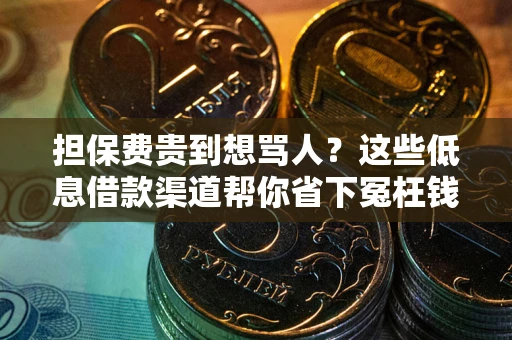 武汉担保费贵到想骂人？这些低息借款渠道帮你省下冤枉钱