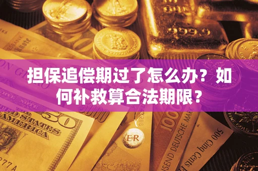 武汉担保追偿期过了怎么办？如何补救算合法期限？