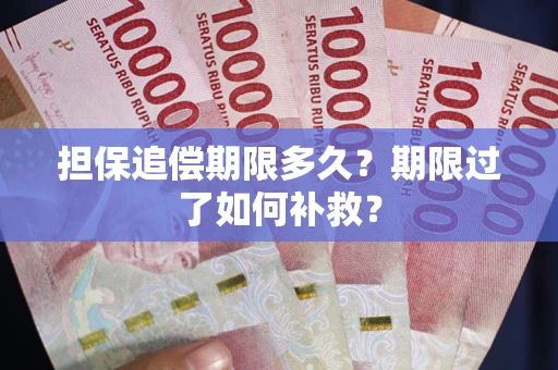武汉担保追偿期限多久？期限过了如何补救？