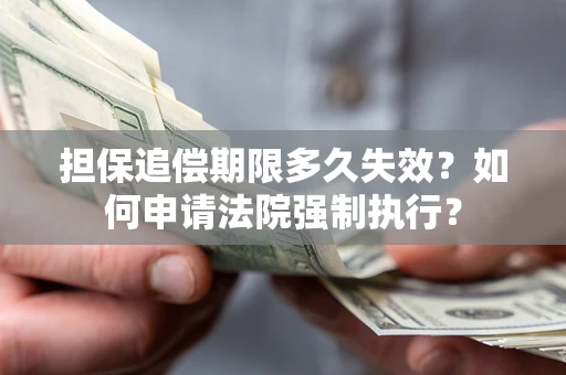 武汉担保追偿期限多久失效？如何申请法院强制执行？
