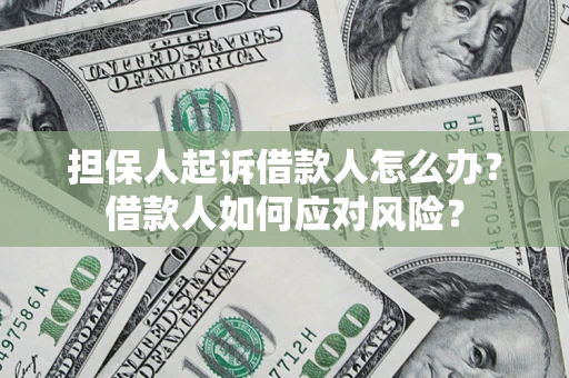 武汉担保人起诉借款人怎么办？借款人如何应对风险？