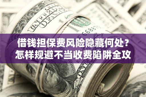 武汉借钱担保费风险隐藏何处？怎样规避不当收费陷阱全攻略！